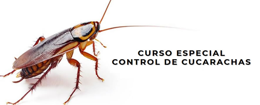 curso de control de cucarachas