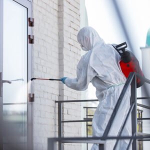 Curso control de plagas urbanas