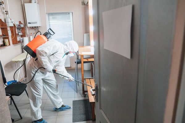 Curso Desinfeccion por virus y bacterias